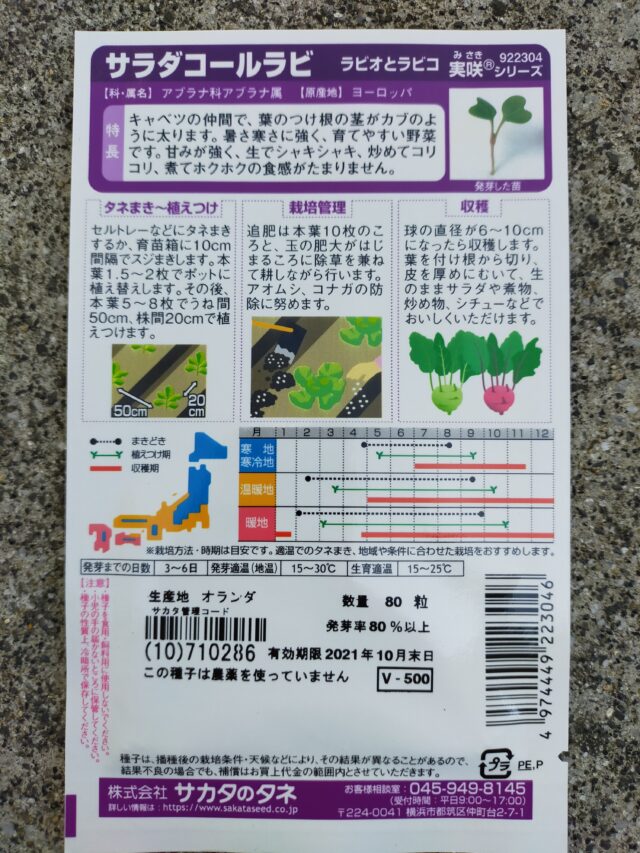 コールラビ