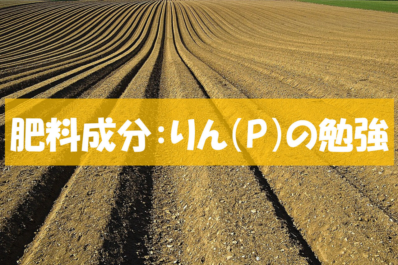 肥料の知識 リン肥料の種類と知っておきたい家庭菜園での効果的な使い方 ねこの静六 自由へのポートフォリオ