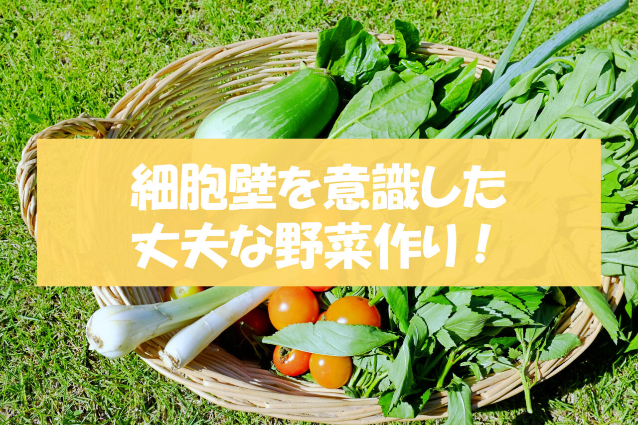 丈夫な野菜作り