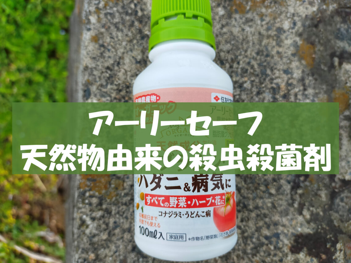 アーリーセーフ ハダニ アブラムシに有効な天然物由来の殺虫殺菌剤 ねこの静六 自由へのポートフォリオ