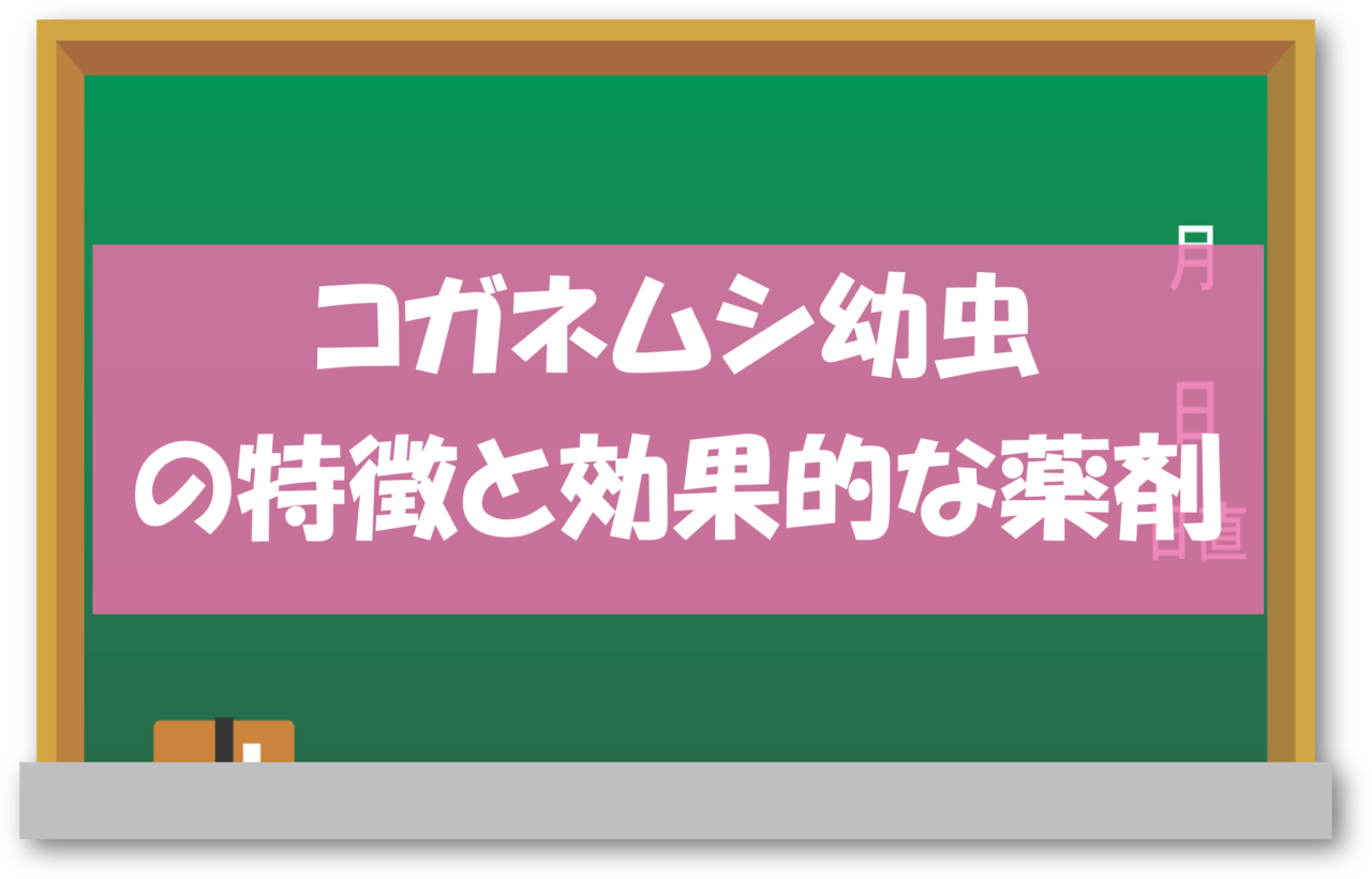 コガネムシ幼虫の特徴と効果的な薬剤